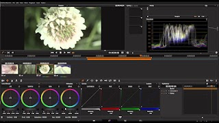 Davinci Resolve - Video Editor اسکرین شاٹ 4