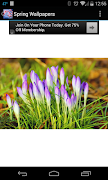 Spring Wallpapers capture d'écran 1