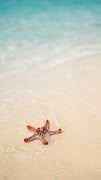 برنامه‌نما Beach Wallpaper عکس از صفحه