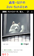 画像・GIFまとめ - 2ch・5chまとめ Ekran Görüntüsü 1