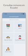 Consulta Ecuador poster