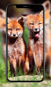 Cute Animal Wallpapers screenshot 6