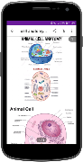 Tiny Pdf Scanner-Image to PDF imagem de tela 3