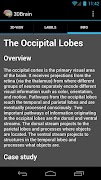 3D Brain скриншот 3