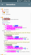 Semantikos captura de pantalla 6