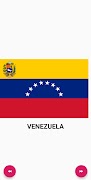 South and North America flags poster