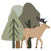 Acres of Wildlife