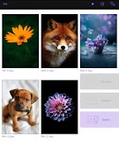 ScreenSaverTool اسکرین شاٹ 5