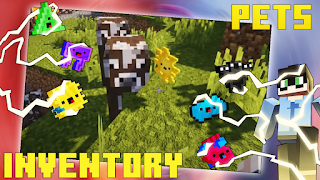 Poster Inventory pets mod