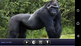 SECuRET ProCam screenshot 2