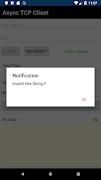 TCP Async Client تصوير الشاشة 4