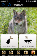 WolfApp скриншот 4