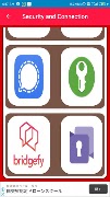 Security and Connection screenshot 2