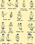 Best Kung Fu Technique poster