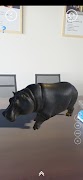 AR Zoo screenshot 4