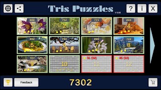 Tris Puzzles ภาพหน้าจอ 2