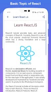 Learn React PRO স্ক্রিনশট 4