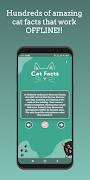 Cat Facts 포스터
