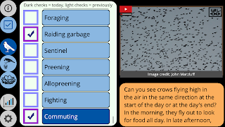 Crow Scientist screenshot 1