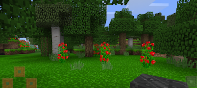 MasterCraft - MultiCraft Pro screenshot 5