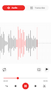 Voice Recorder - Voice Notes screenshot 6