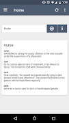 Writer's Dictionary poster