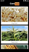 CornHub اسکرین شاٹ 1