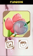 Automatic Identifier Flowers poster