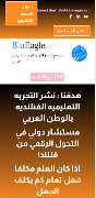 BluEagle 截图 1