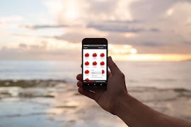 Yes Button স্ক্রিনশট 3