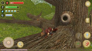 Squirrel Simulator 2 截圖 1