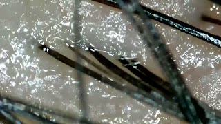 Micro Find New screenshot 2