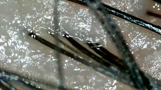 برنامه‌نما Micro Find New عکس از صفحه