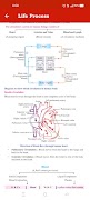 Biology Knowledge Class-10 ภาพหน้าจอ 4