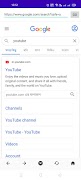 Flash Browser スクリーンショット 2