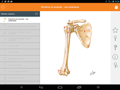 Mémofiches Anatomie Netter スクリーンショット 6