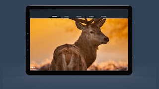 برنامه‌نما CN Wallpaper عکس از صفحه