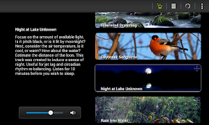 Naturespace: Sleep Relax Focus screenshot 3