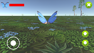 برنامه‌نما شبیه ساز پروانه عکس از صفحه