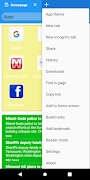 IPhone Web Browser screenshot 1