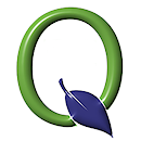 Q Mobile 2024 APK