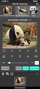 NUX GIF Customizer poster