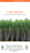 پوستر Cane Adviser