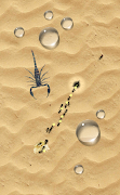 Ant Sandbox 포스터