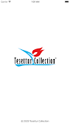 Tesettur Collection Plakat