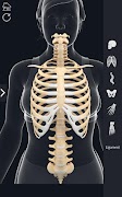 My Skeleton Anatomy स्क्रीनशॉट 5