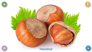 100 Fruits and Vegetables for  截图 5