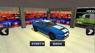 Race Car スクリーンショット 3