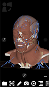 پوستر 3Dissect Head & Neck