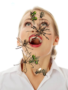 Insects Prank স্ক্রিনশট 6